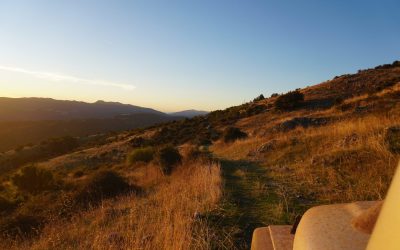 DSC07970-Copia-scaled