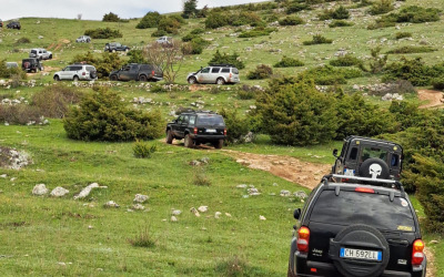 e913b162-99e7-4fa3-b382-a26999a7bf14